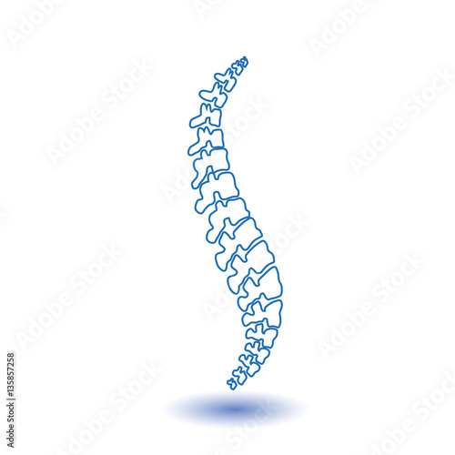 Vector  human spine isolated silhouette illustration. Spine pain medical center, clinic, institute, rehabilitation, diagnostic, surgery logo element. Spinal icon symbol design. Concept of scoliosis