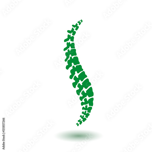 Vector  human spine isolated silhouette illustration. Spine pain medical center  clinic  institute  rehabilitation  diagnostic  surgery logo element. Spinal icon symbol design. Concept of scoliosis