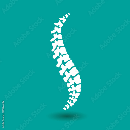 Vector  human spine isolated silhouette illustration. Spine pain medical center  clinic  institute  rehabilitation  diagnostic  surgery logo element. Spinal icon symbol design. Concept of scoliosis