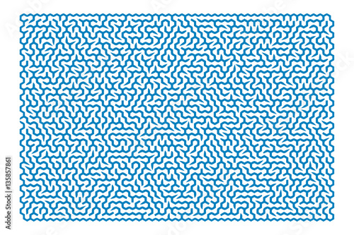 Difficult Vector   Maze for Children