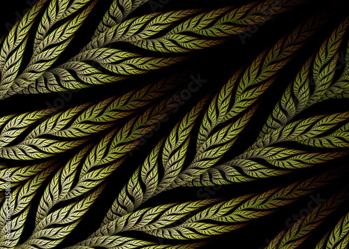 Fractal Pinnate Branches    - Fractal Art  photo