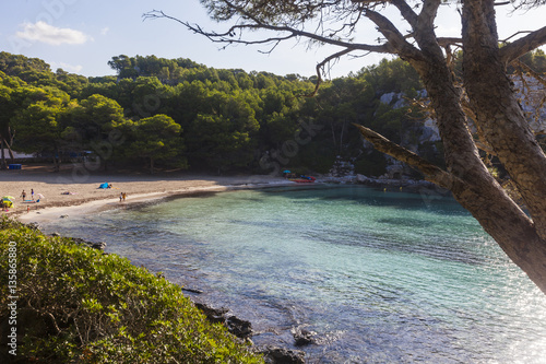 Macarella beach seen among the trees on a sunny morning, Minorca