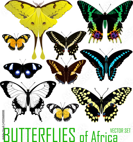 vector set of butterflies of Africa isolated on white.