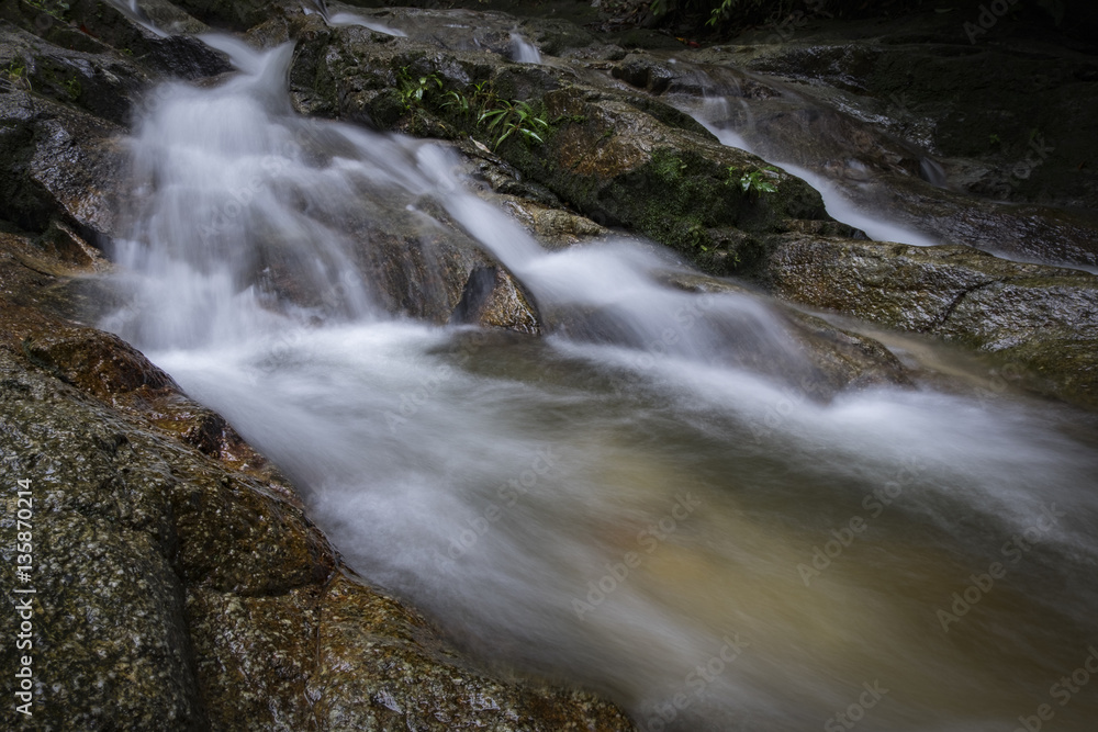 Beautiful in nature, tropical river flow surrounded by green nature Beautiful in nature, tropical river flow surrounded by green nature