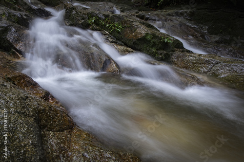 Beautiful in nature  tropical river flow surrounded by green nature