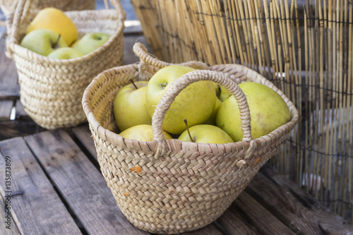 Handmade wicker basket with fresh and beautiful yellow apples. G