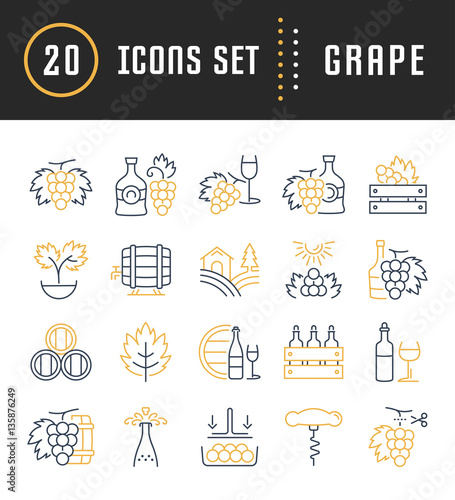Set Vector Flat Line Icons Grape