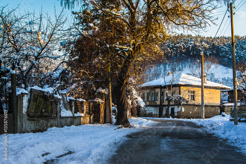 sunrise meet a tree © Vladislav