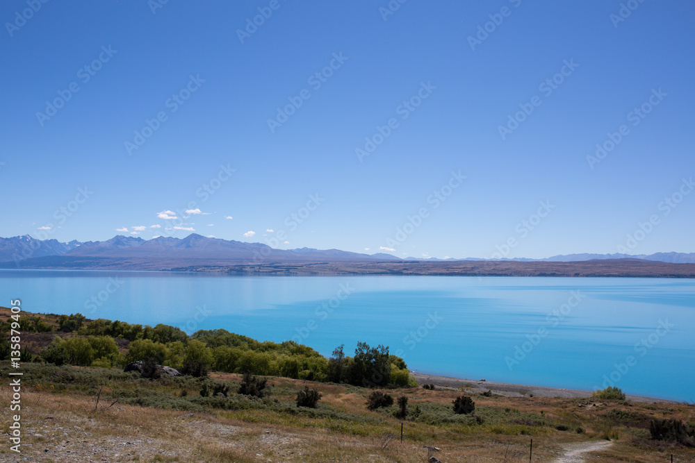 ニュージーランド　プカキ湖