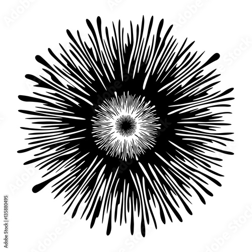 Amoeba Form for Design Project - vector illustration
