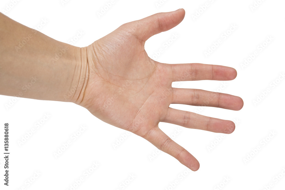Open hand with palm to camera Open hand with palm to camera