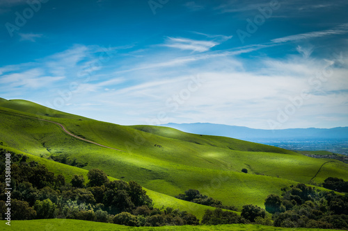 Bay Area Hills