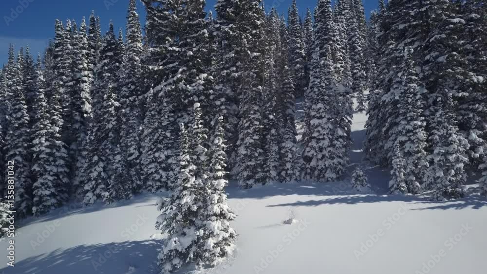Aerial winter snow mountain pine forest drone tilt pan down.Winter snow on landscape of central Utah. Cold season weather. Nature and environment. Beautiful natural environment. Drone flight. Aerial winter snow mountain pine forest drone tilt pan down.Winter snow on landscape of central Utah. Cold season weather. Nature and environment. Beautiful natural environment. Drone flight.