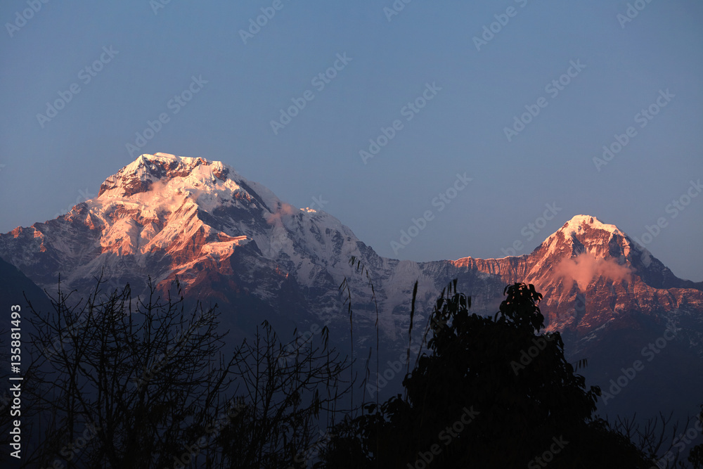 Beautiful landscape of white snowy peaks of the Annapurna mountain range at dusk. Pure and frosty sky over snow covered summits and passes of the grand Himalayas lit with first morning sunshine