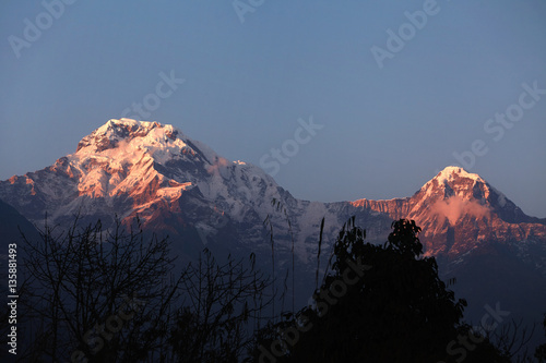 Beautiful landscape of white snowy peaks of the Annapurna mountain range at dusk. Pure and frosty sky over snow covered summits and passes of the grand Himalayas lit with first morning sunshine © wayhome.studio 