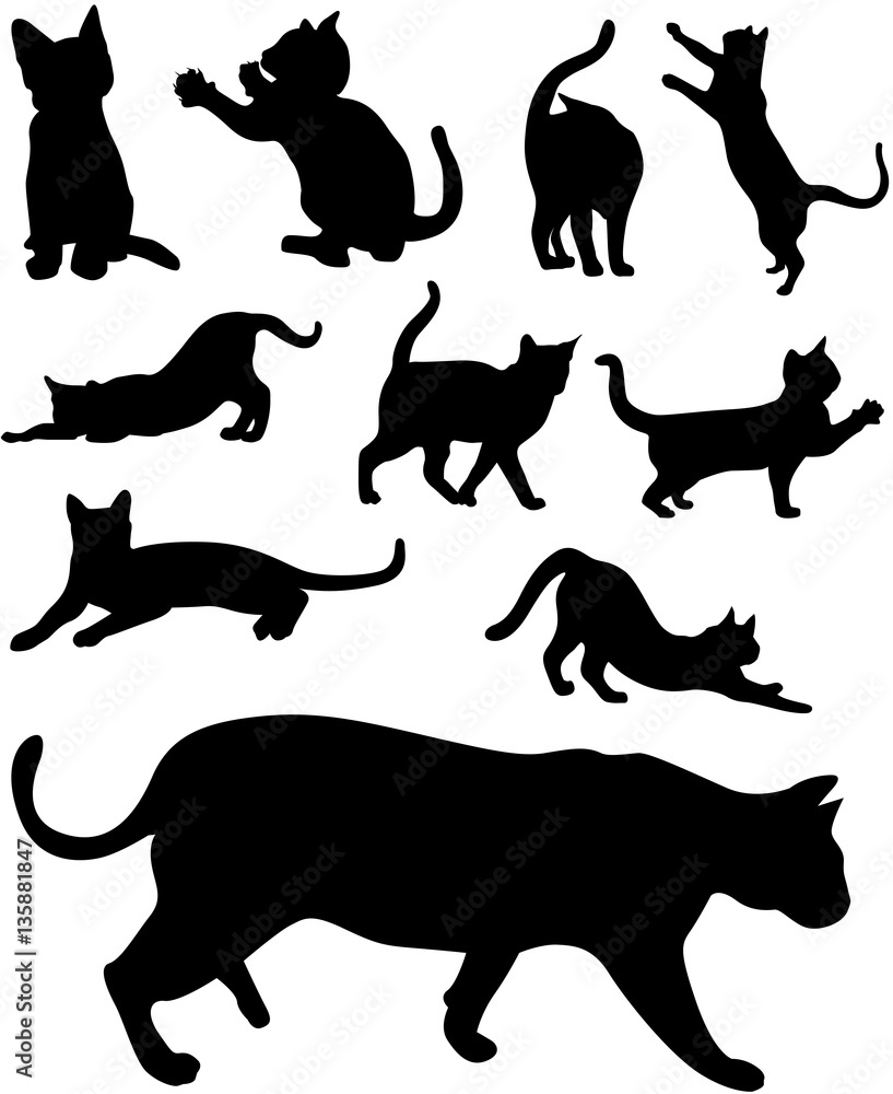 Katzen Silhouetten