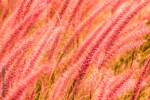 The sustenance of life gives back its beauty