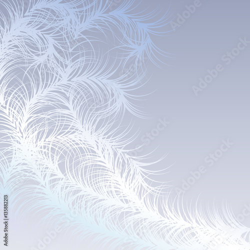 Winter frost pattern  - vector illustration 
