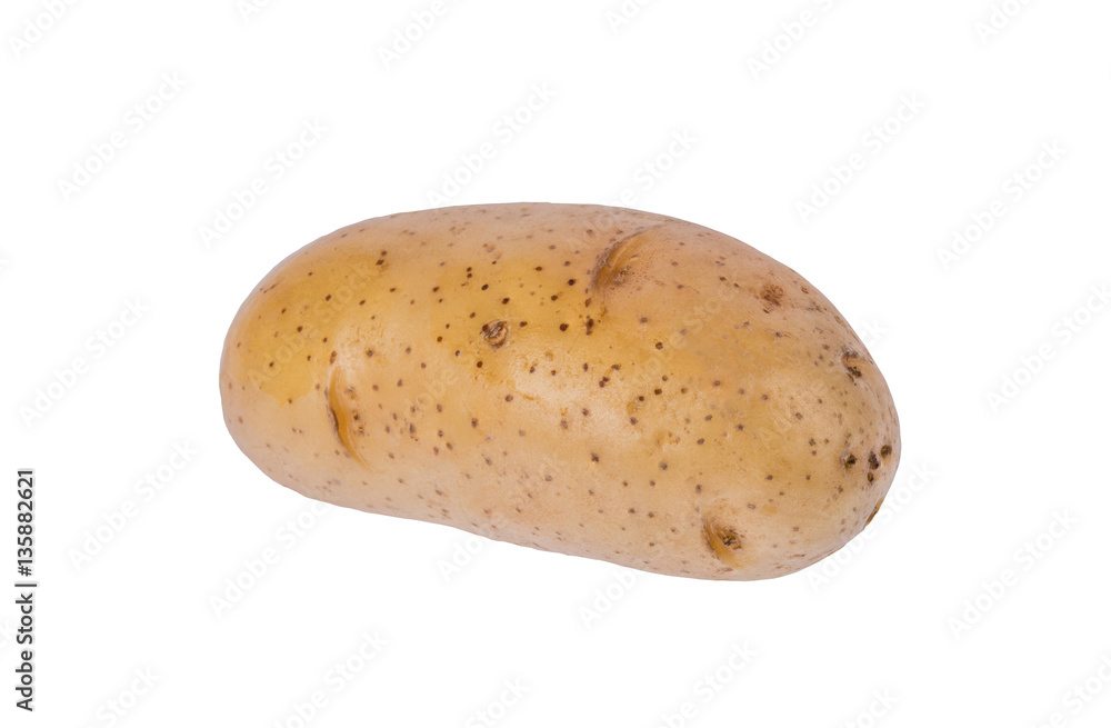 potato isolated on white background close up potato isolated on white background close up