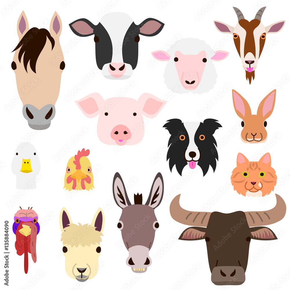Obraz premium cute farm animal faces set