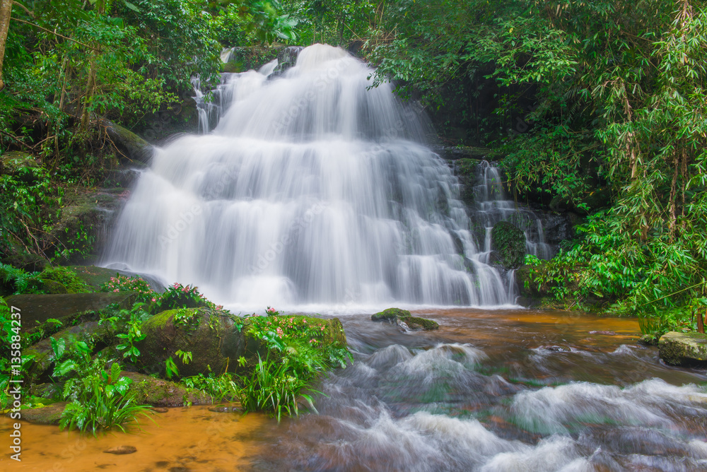 beautiful waterfall in rainforest at phu tub berk mountain  phet