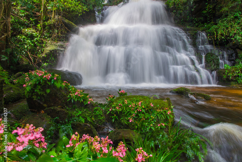 Fototapeta Naklejka Na Ścianę i Meble -  beautiful waterfall in rainforest at phu tub berk mountain  phet
