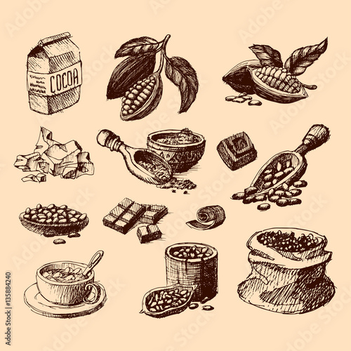 Vector cocoa hand drawn sketch illustration.