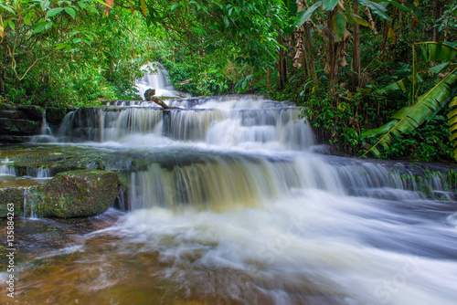 beautiful waterfall in rainforest at phu tub berk mountain  phet © CasanoWa Stutio
