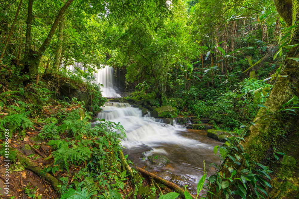 beautiful waterfall in rainforest at phu tub berk mountain phet beautiful waterfall in rainforest at phu tub berk mountain phet