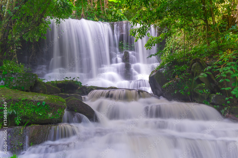 Fototapeta premium beautiful waterfall in rainforest at phu tub berk mountain phet