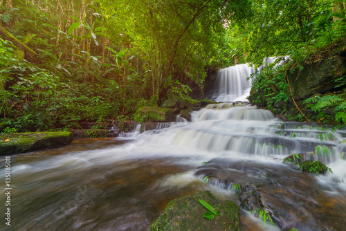 Fototapeta Naklejka Na Ścianę i Meble -  beautiful waterfall in rainforest at phu tub berk mountain  phet
