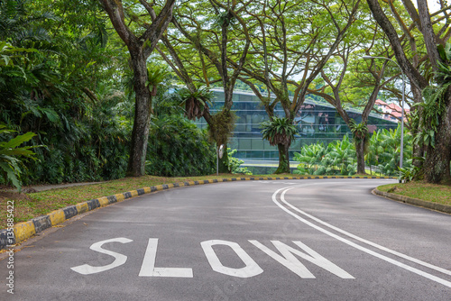warning signs to slow down on a curving road