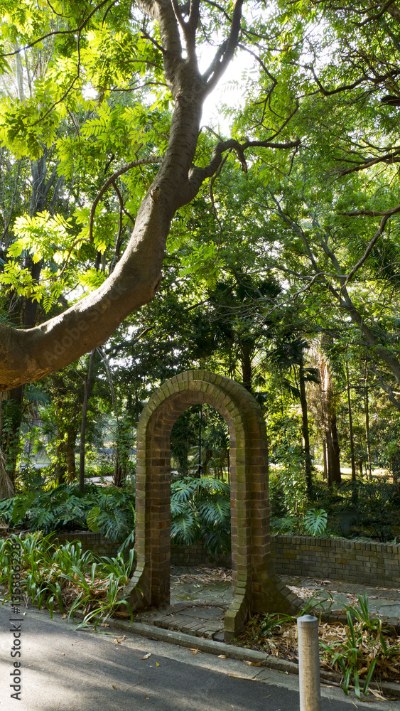 Forest garden Forest garden