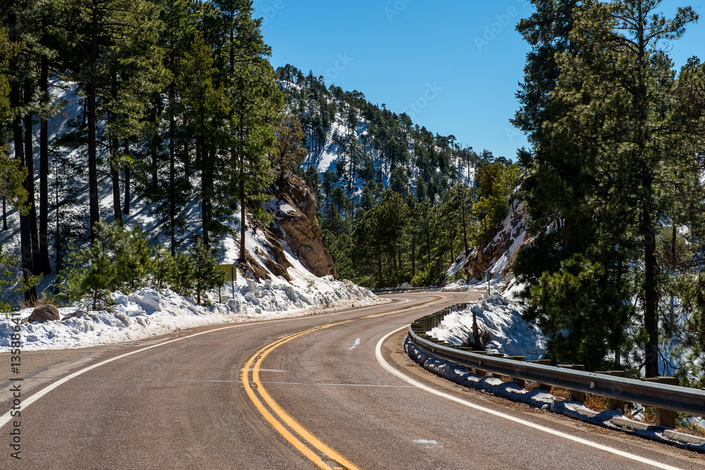 Naklejka premium Mt Lemmon