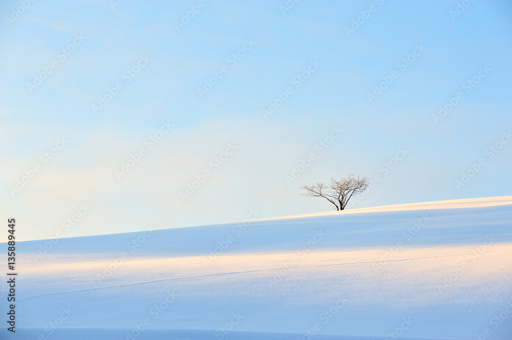 白銀の世界 Stock 写真 Adobe Stock