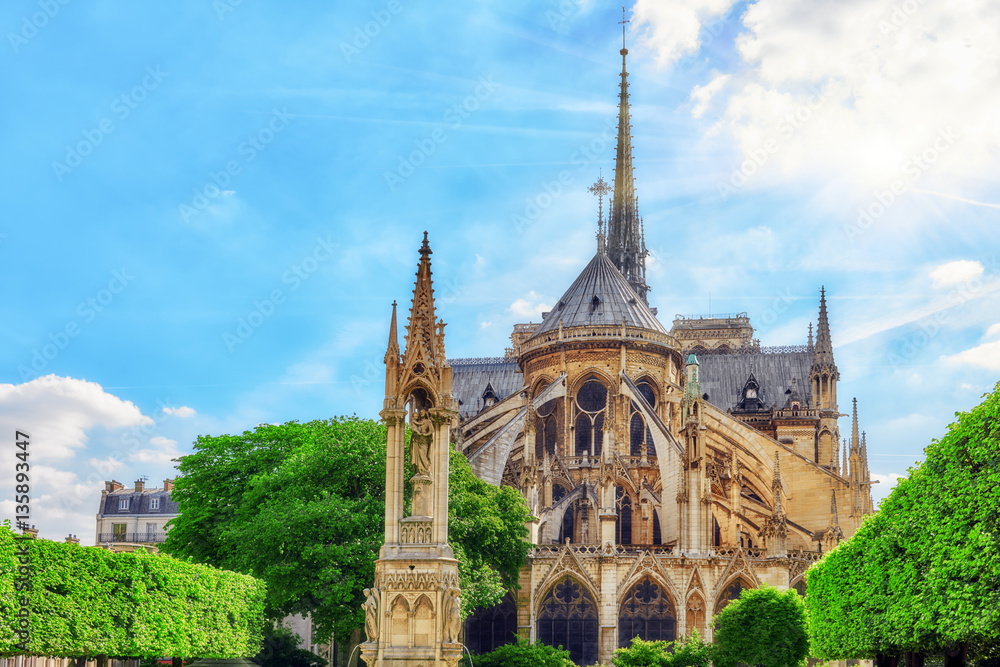 Notre Dame de Paris Cathedral, most beautiful Cathedral in Paris