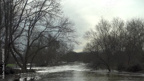 Wallpaper Mural Winter Floodwater on the River Stour, Dorset, UK Torontodigital.ca