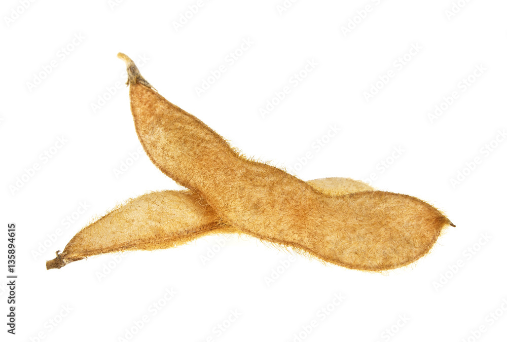 Fototapeta premium Soybean pods isolated on white background. Soya - protein plant