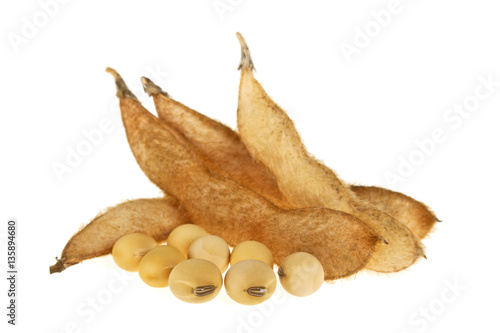 Soybean pods isolated on white background. Soya - protein plant