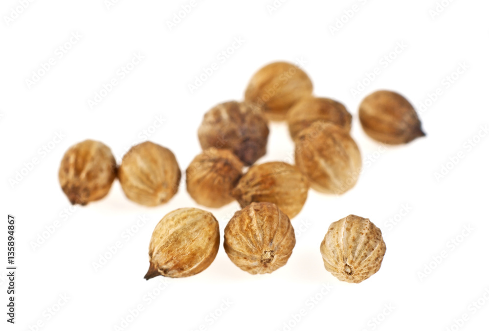 Coriander seeds isolated on white background Coriander seeds isolated on white background