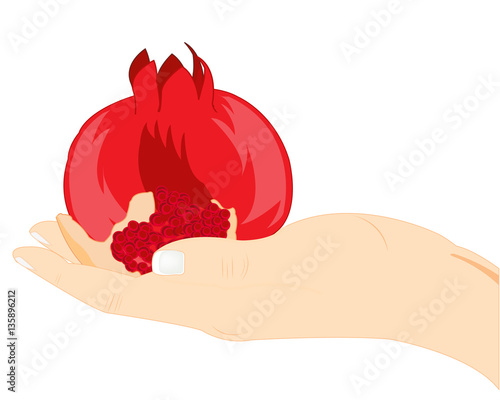 Fruit garnet in palm