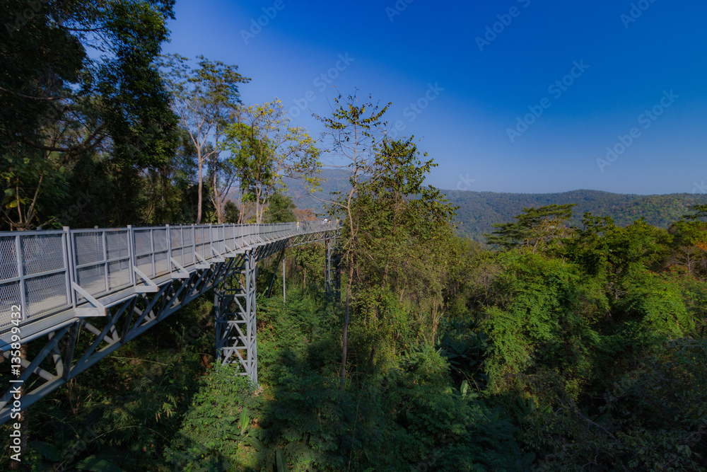 The Canopy walkway, Queen Sirikit Botanic Garden