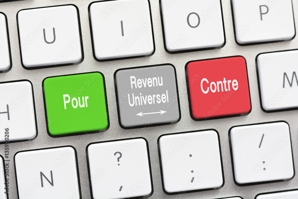 Universal Income question and answer For and Against in French Universal Income question and answer For and Against in French