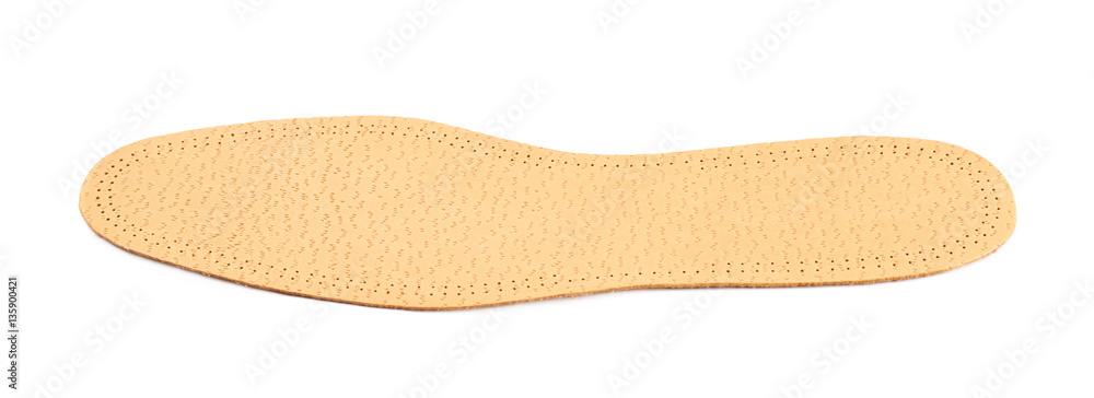 Single shoe insole isolated Single shoe insole isolated