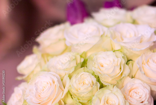 Flowers roses bouquet of white roses