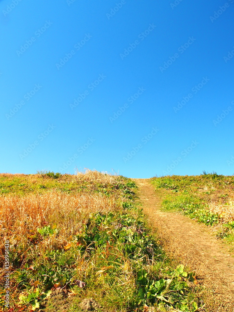 Fototapeta premium 冬の土手風景