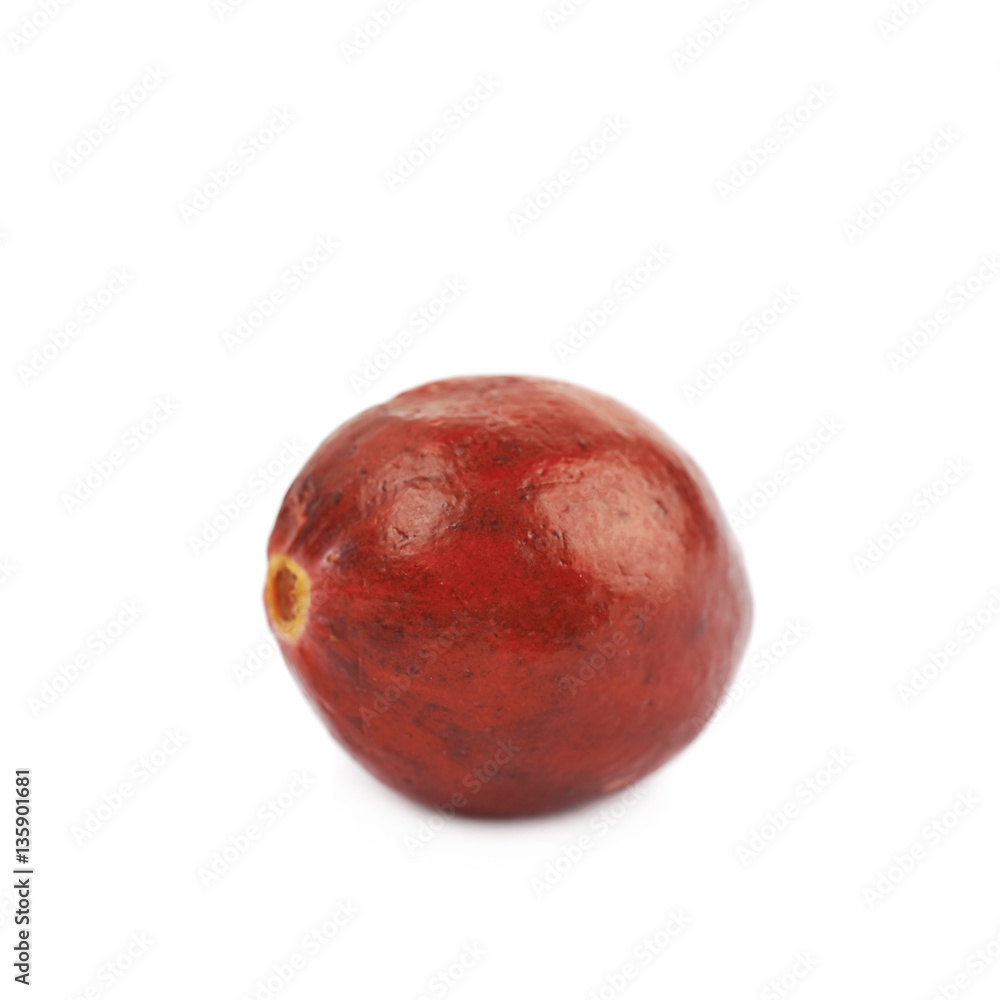 Fototapeta premium Single ripe cranberry isolated