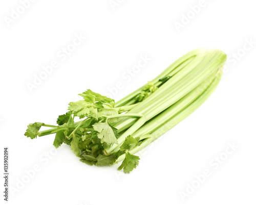 Green fresh celery isolated