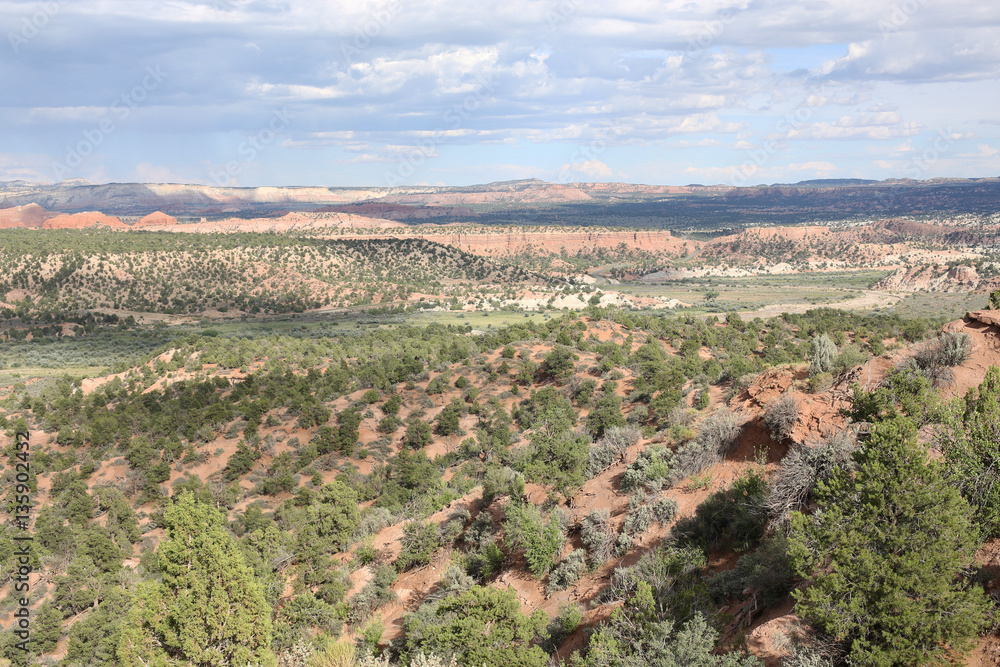 Obraz premium Scenic landscape in Utah, USA