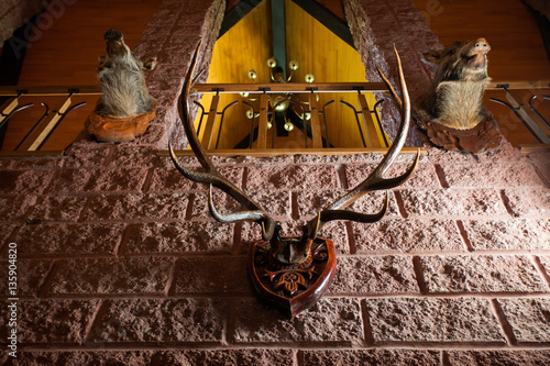 horns on the wall in the house hunting